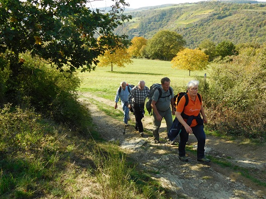 >>Herbstwanderung 2019 09<<