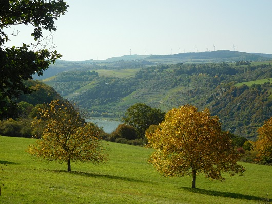 >>Herbstwanderung 2019 10<<