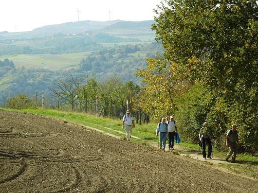 >>Herbstwanderung 2019 11<<